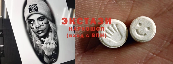 индика Туринск