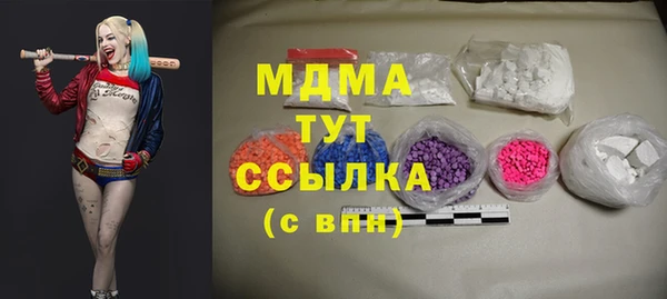 индика Туринск
