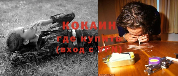 стафф Тутаев