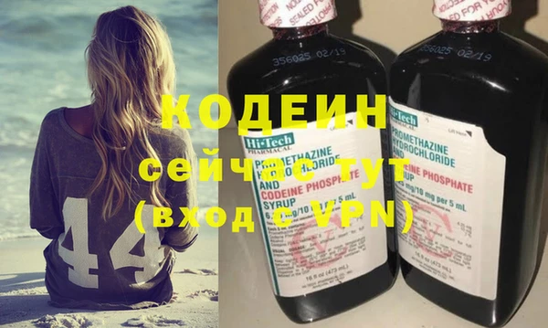индика Туринск