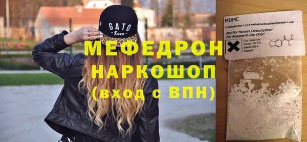 индика Туринск