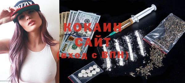 гашик Тында