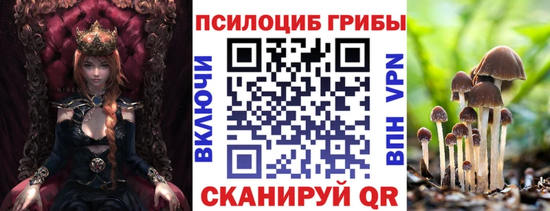Купить где  Горняк  Псилоцибиновые грибы Psilocybe 